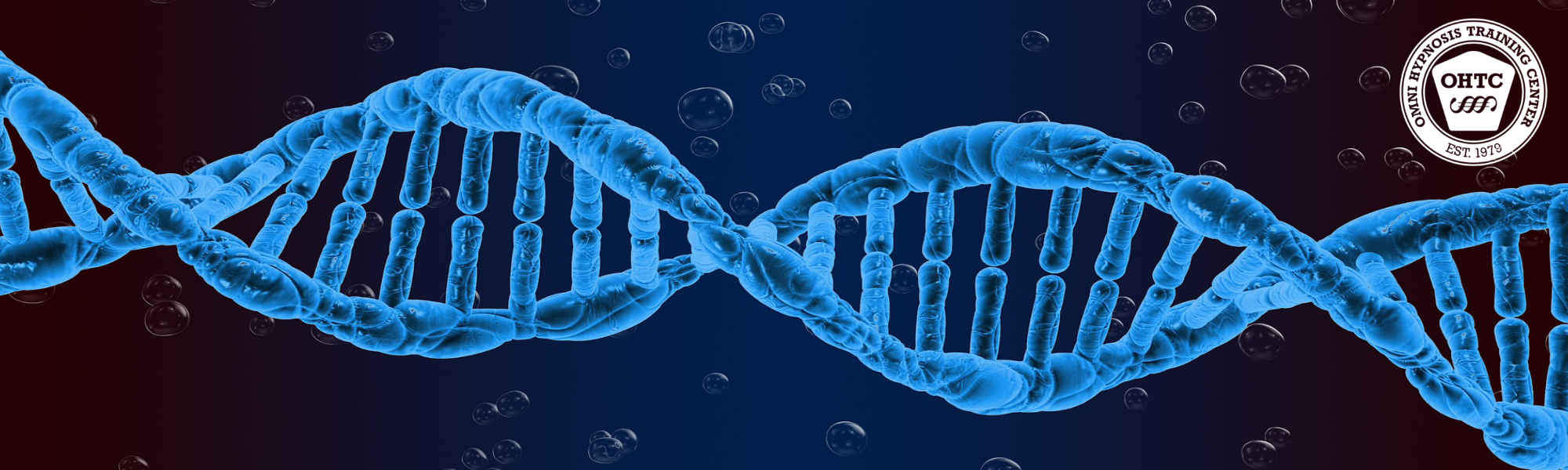 Omni Hypnosis - Unsere DNA ist dein Erfolg