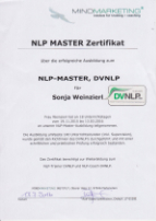 NLP Master DVNLP