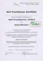 NLP Practitioner DVNLP