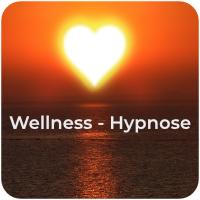 Wellness-Hypnose MindCracker